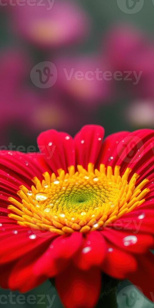 Bright red flower with yellow center and dew drops in a vibrant garden setting during springtime photo