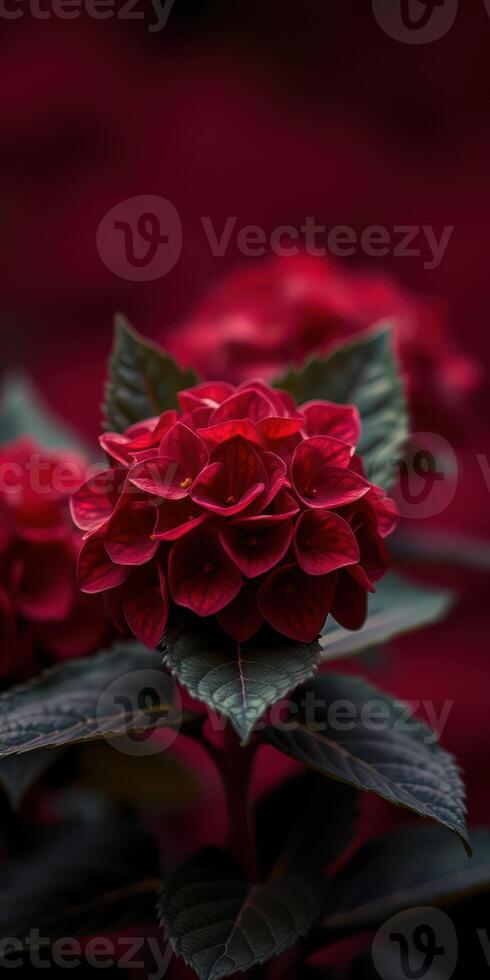 Vibrant red ornamental flowers bloom gracefully in a soft focus, adding beauty to the garden in early spring sunlight photo