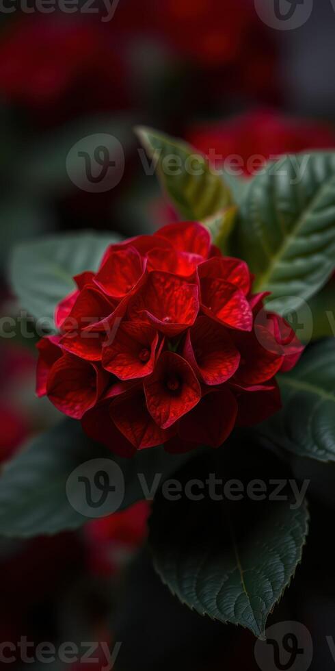 Bright red flower blooming amidst lush green leaves in a vibrant garden during late spring photo