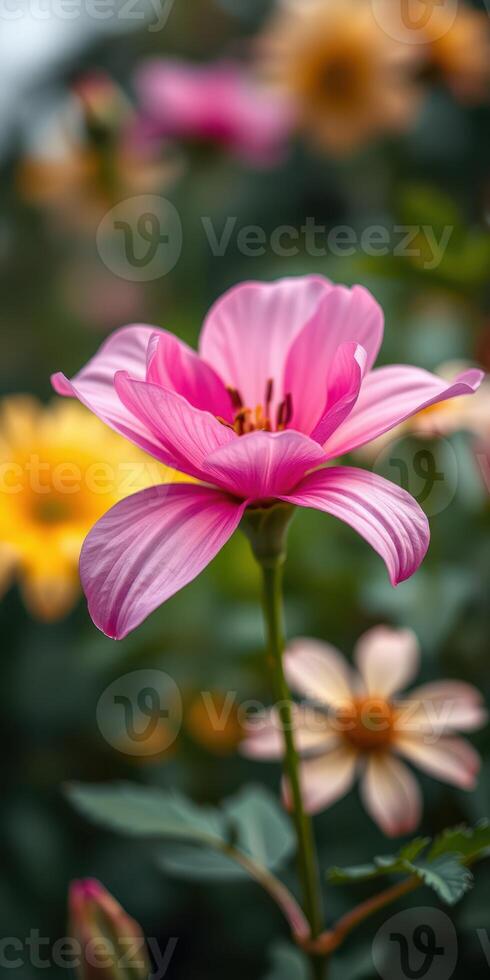 Beautiful pink flower in a vibrant garden with yellow and soft pastel blooms during a sunny day photo