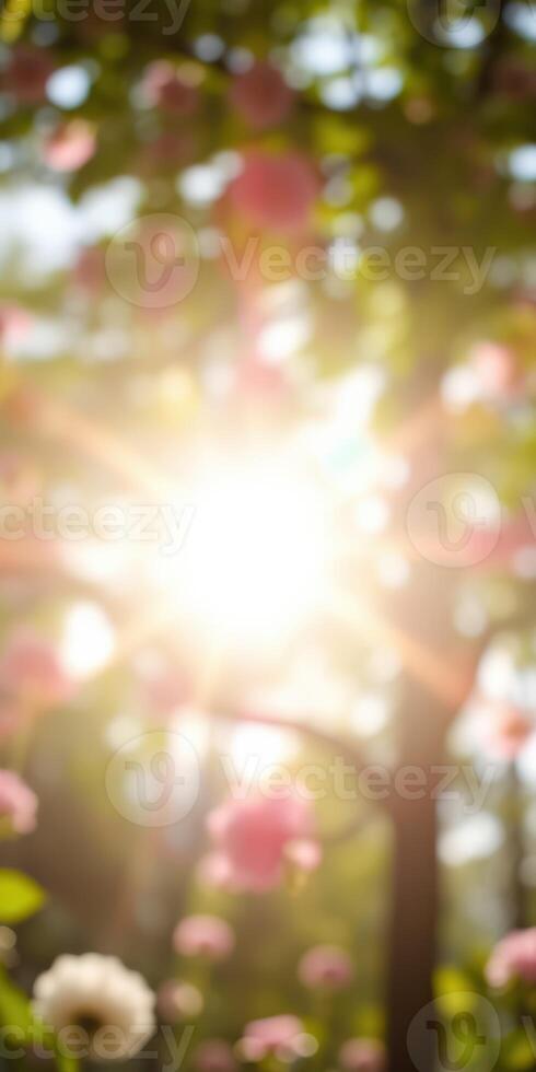 Sunlight filtering through blossoms in a vibrant spring garden during a sunny afternoon photo
