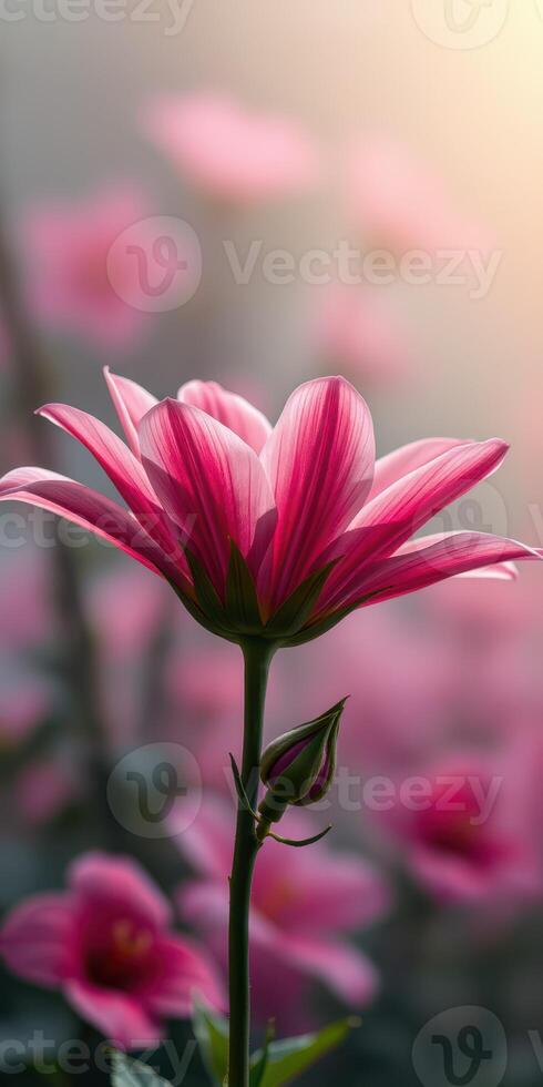 Stunning close-up of a pink flower in a vibrant garden during golden hour capturing nature's beauty and serenity photo
