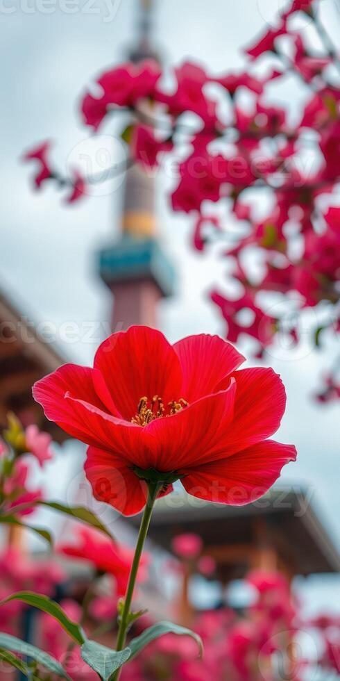 Bright red flowers bloom in front of a tower under a cloudy sky in a vibrant urban garden photo