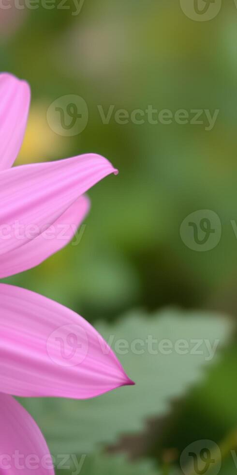 Delicate pink flower petal highlighted against a soft green background in a serene garden setting photo
