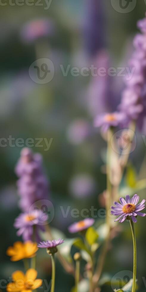 Vibrant purple and yellow flowers blooming in a serene garden setting during late spring photo