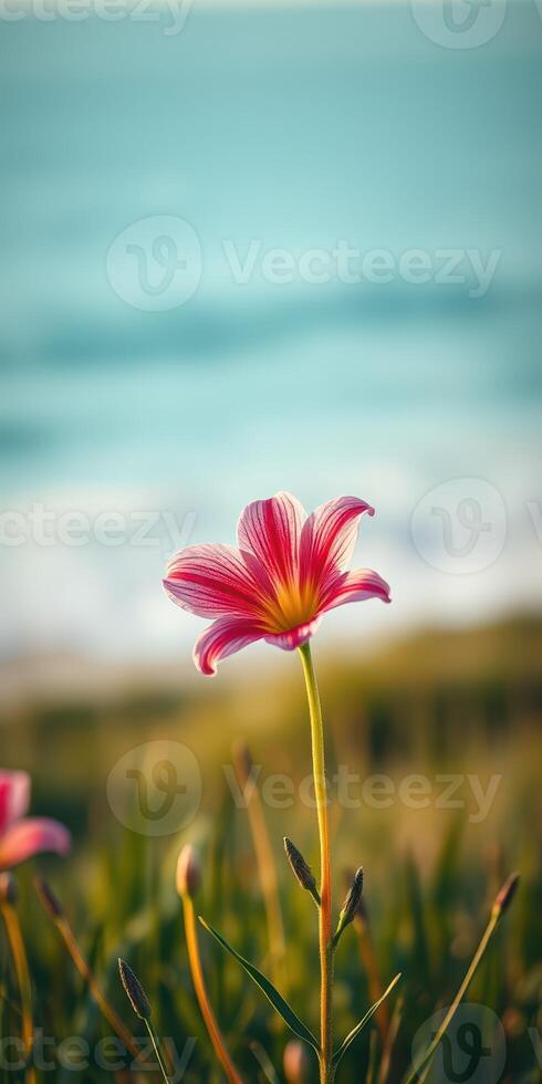 Vibrant pink flower stands tall against a coastal backdrop on a sunny day near the ocean photo