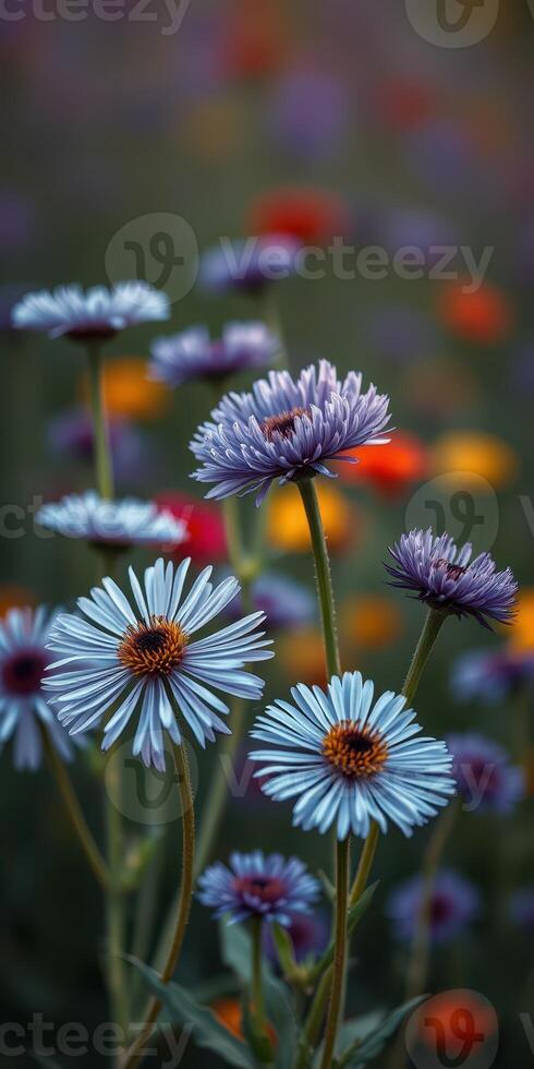 Colorful flowers bloom in a vibrant garden during spring, showcasing various hues and textures against a blurred backdrop photo