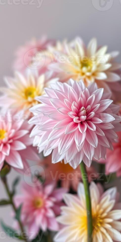 Beautiful arrangement of pink and yellow flowers in a soft light setting showcasing intricate petal details photo