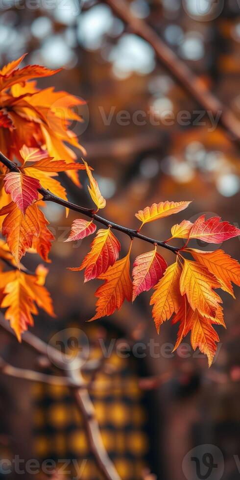 Colorful autumn leaves hanging on a branch in a vibrant forest setting during a sunny afternoon photo