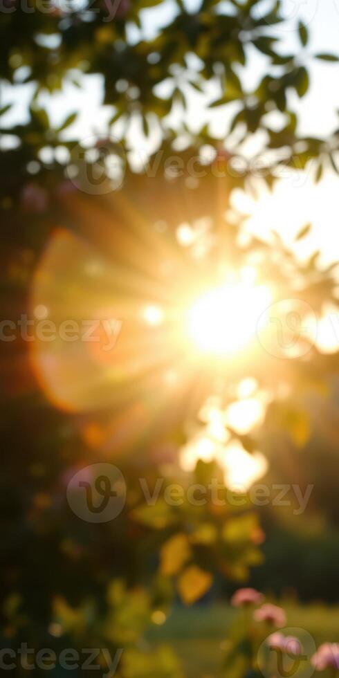 Sunlight filters through leaves creating a warm glow during a serene evening in a natural setting photo