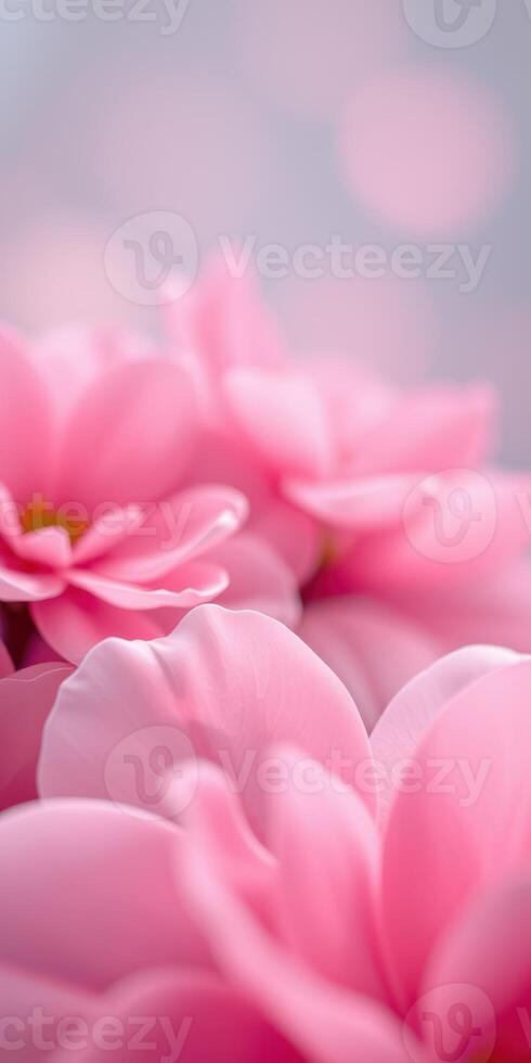 Soft pink flowers create a serene atmosphere with delicate petals reflecting gentle light during springtime photo