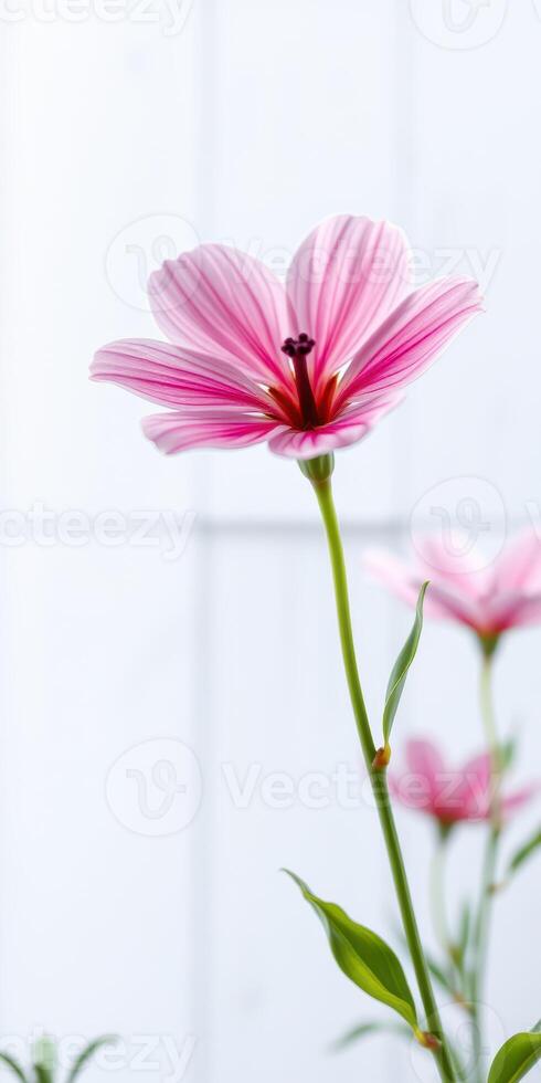 Beautiful pink flower blooming in a serene garden setting during daylight photo
