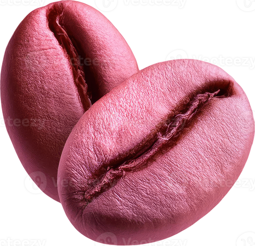 Coffee bean pink color png