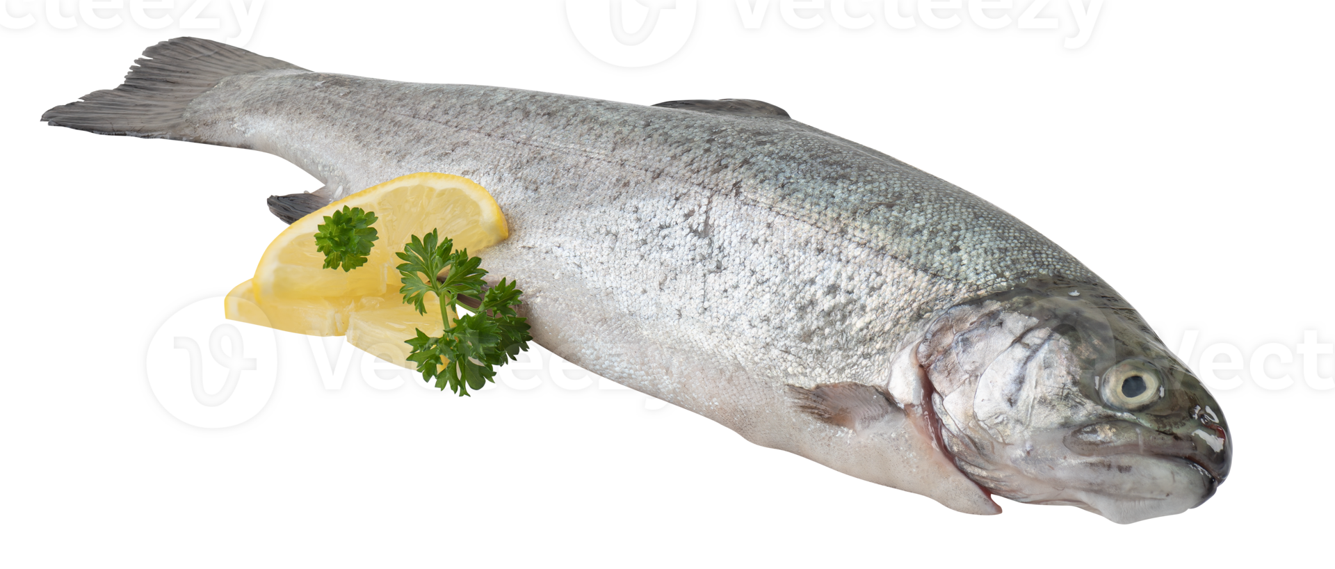 Fresh salmon with yellow lemon cut out isolated transparent background png