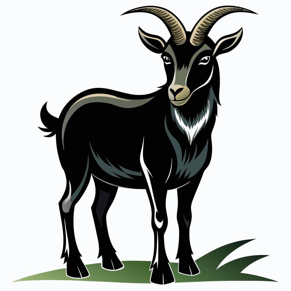goat black goat illustration vector