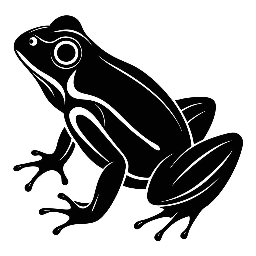 a black and white illustration of a frog vector