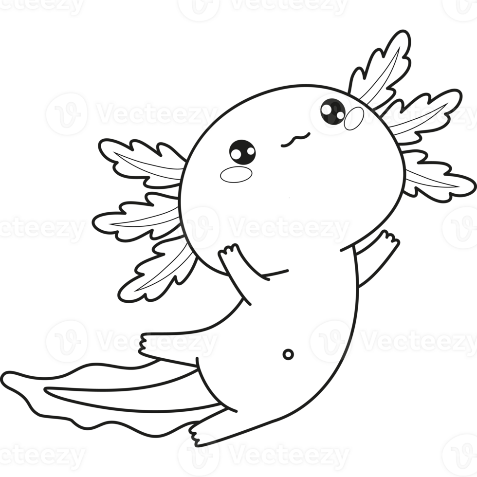 Outline cute Axolotl. Little cartoon character png