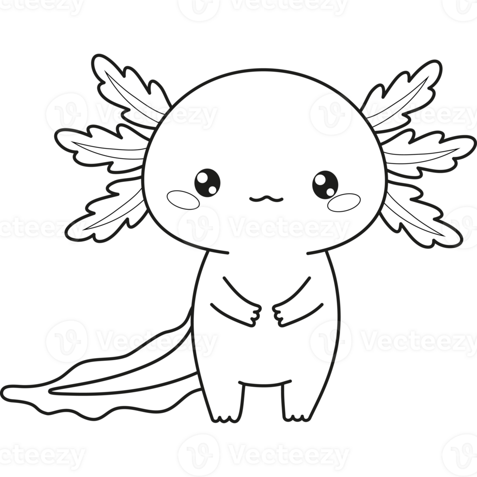 Outline cute Axolotl. Line drawing png