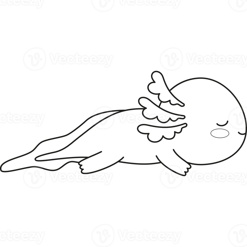Outline Lying and sleeping Axolotl. Line drawing png