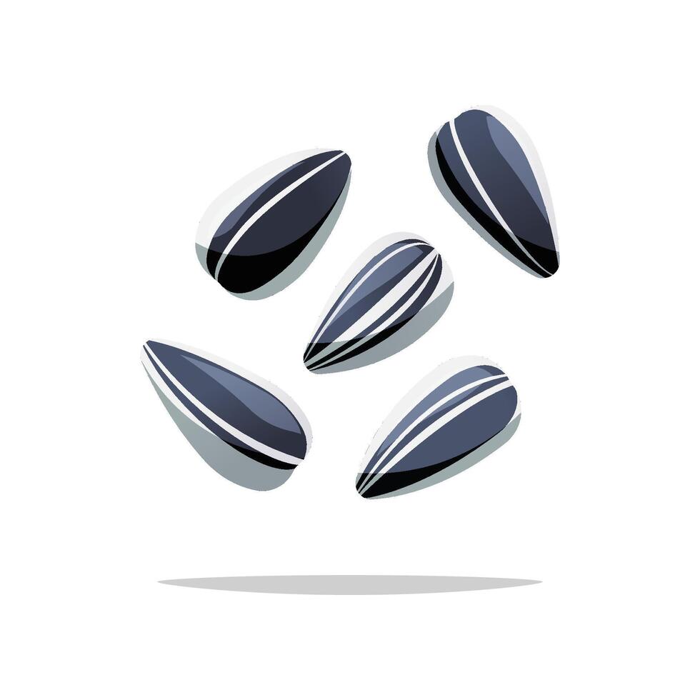 Sunflower seeds isolated on white background. vector