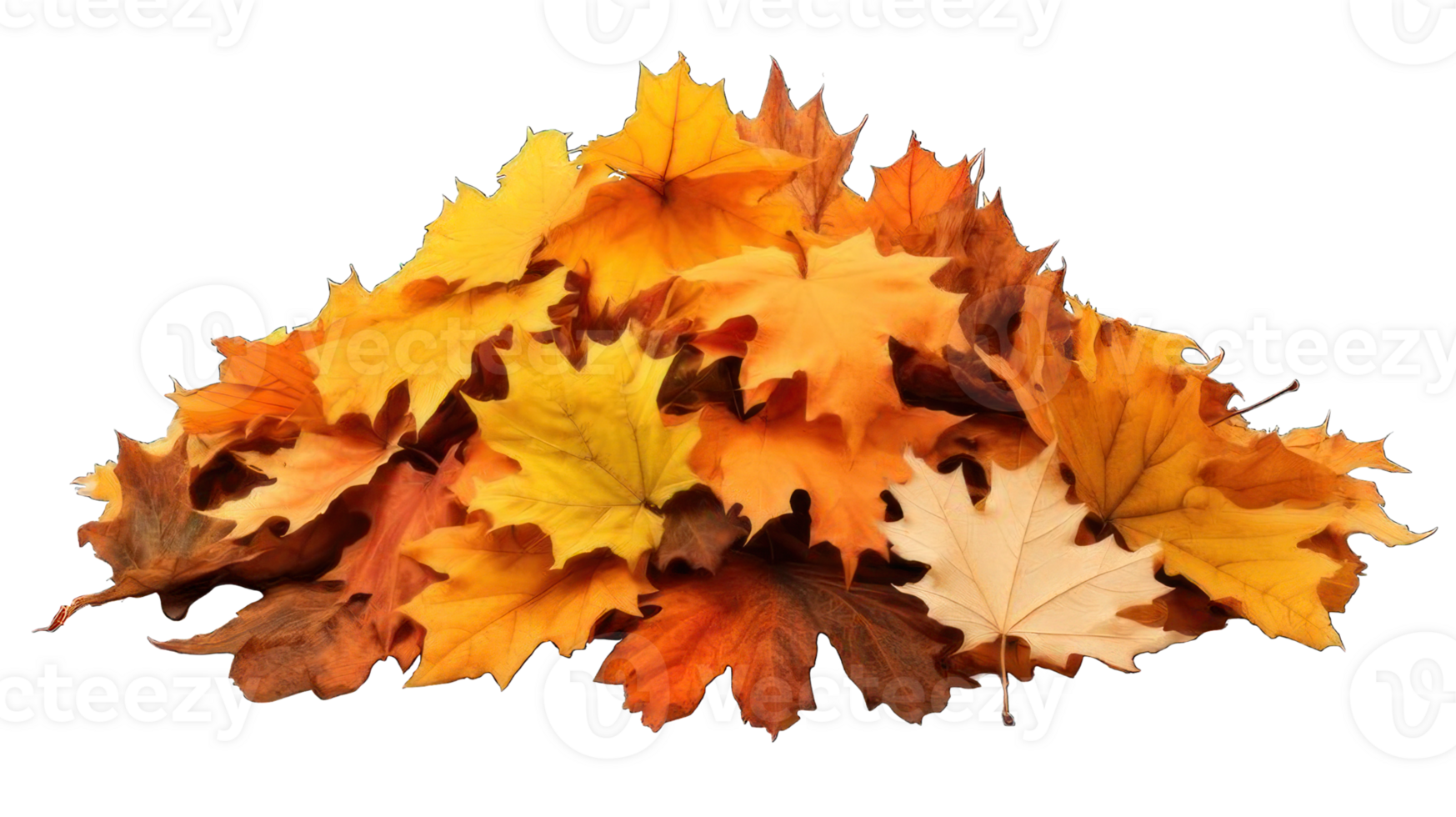Collection of . Pile of Autumn Leaves, isolated on a transparency background. png
