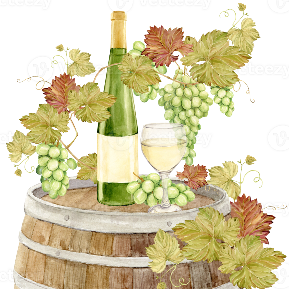 Watercolor branch with green grapes, a glass of white wine and a bottle of green glass. Wooden barrel entwined with grapevine. Clipart for tasting, menu, wine list. png