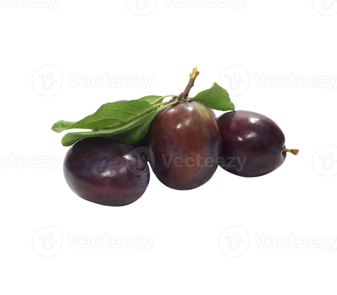 group of ripe black plums png