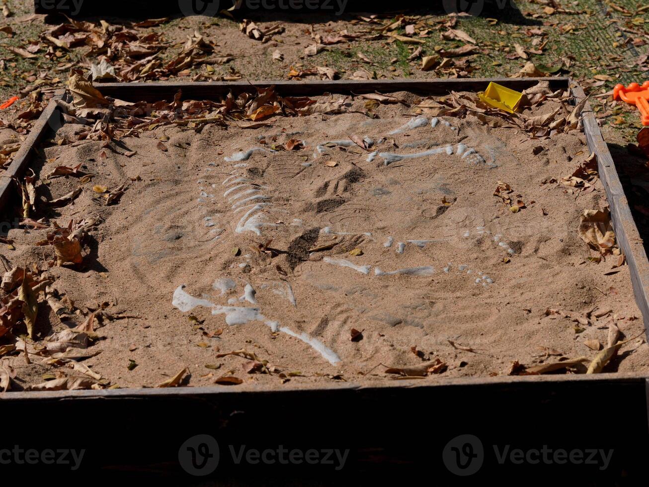 Sand pit for excavating simulated dinosaur fossils in a playground photo