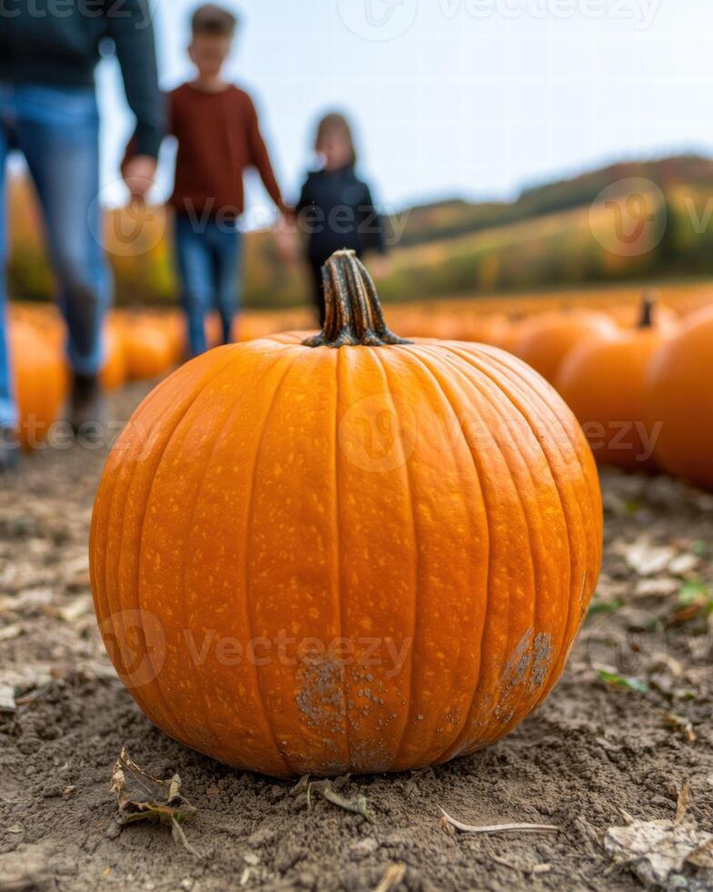 Autumn pumpkin patch with people in the background photo