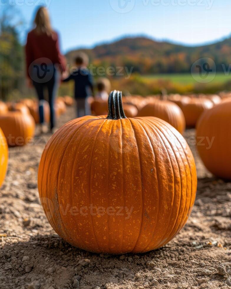 Autumn pumpkin patch with people in the background photo