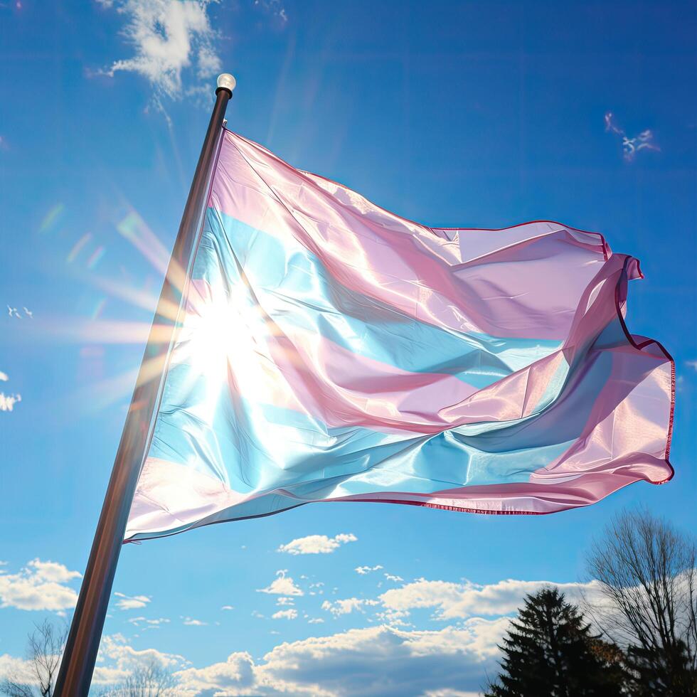 Vibrant transgender pride flag waving in the wind photo