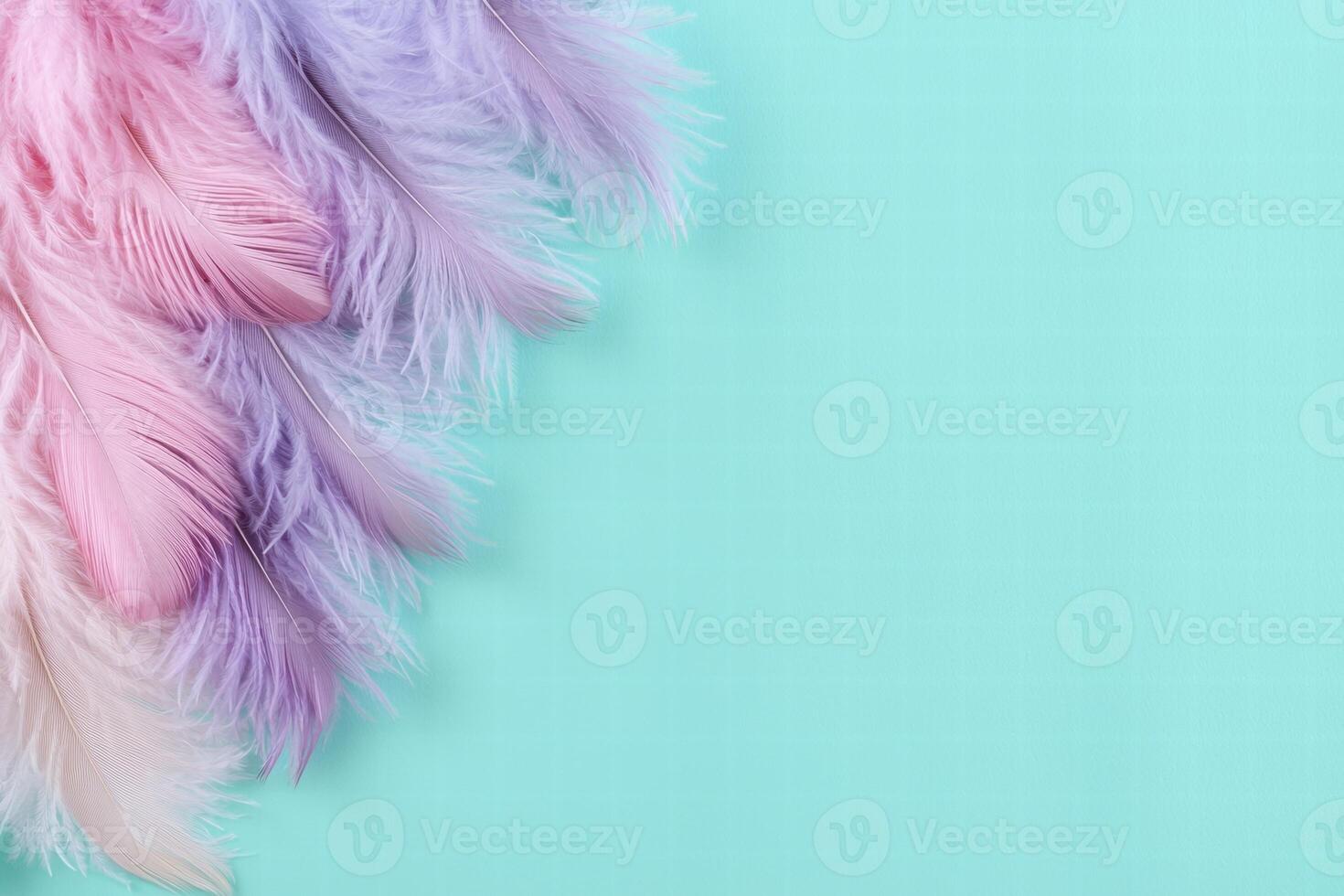 Soft and fluffy pastel feathers on a turquoise background photo