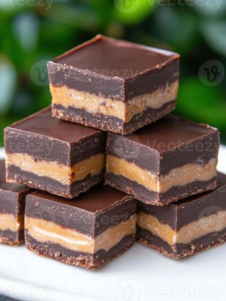Delicious chocolate peanut butter fudge squares photo