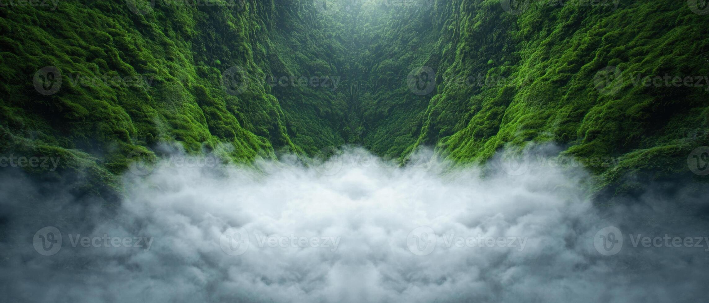 Lush green forest with fog photo