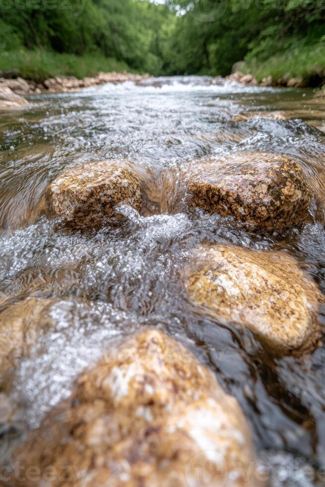 flowing stream through lush forest photo