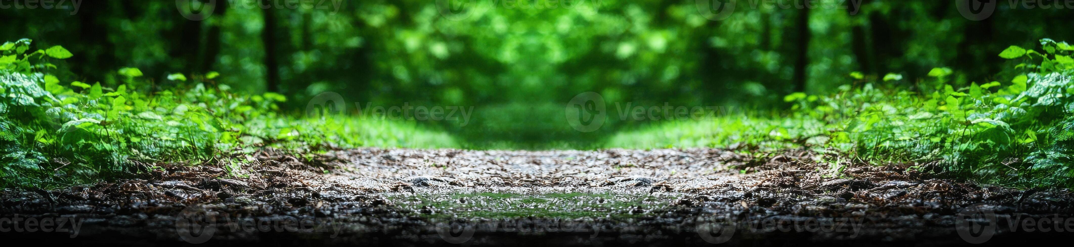 Serene forest path in the wilderness photo