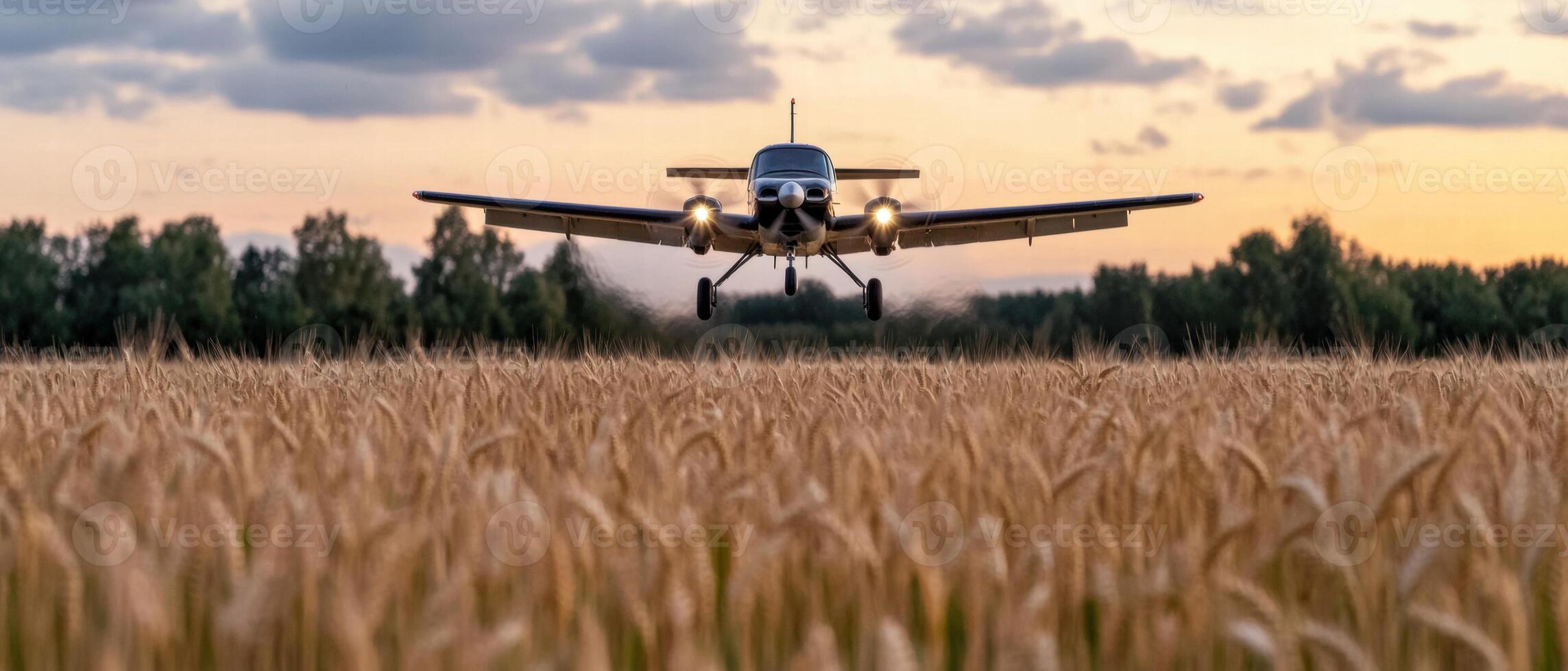 small private plane flying over golden wheat field at sunset photo