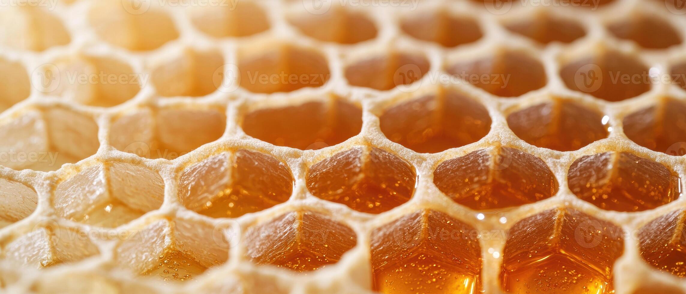 Delicious honeycomb with golden honey photo