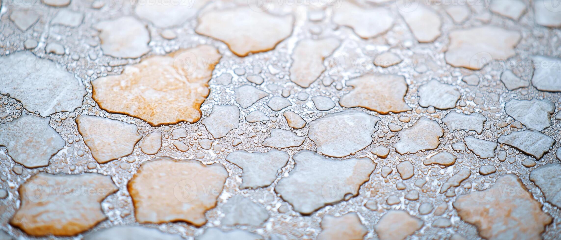 Cracked Mud Texture with Water Droplets photo