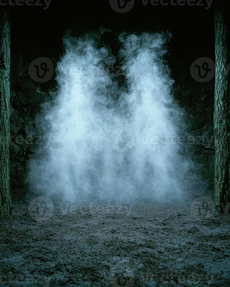Mysterious fog in dark forest photo