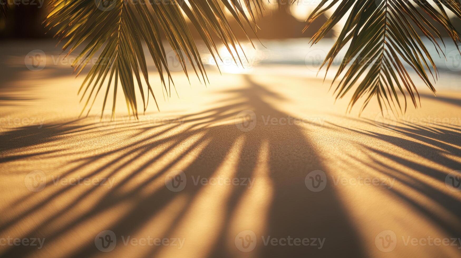 Sharp palm shadows on sand with blurred trees, bold and striking contrast. Blurred view sandy beach palms photo