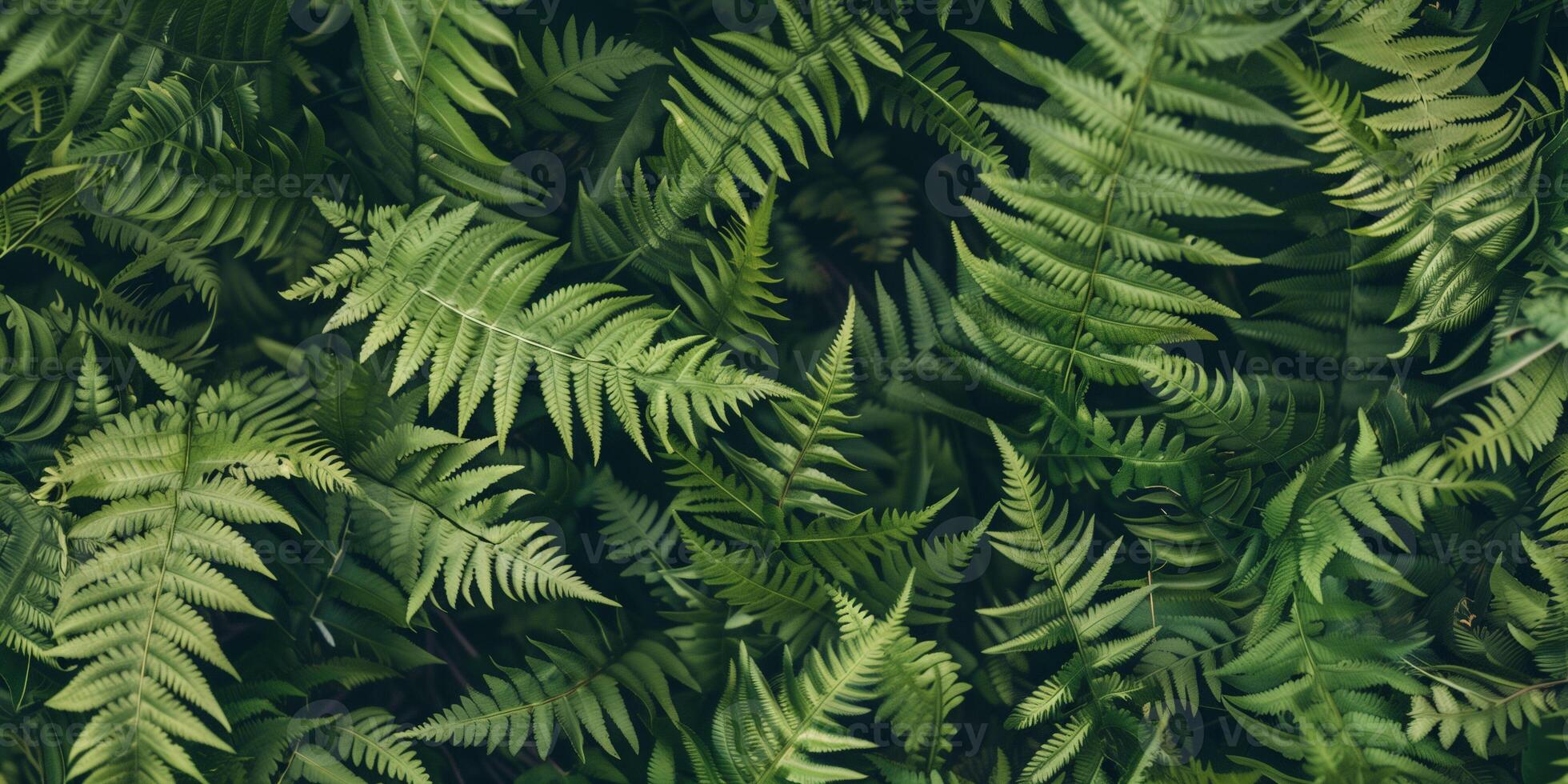 Cluster of ferns, highlighting their dense, feathery fronds and intricate vein patterns, photorealistic photo