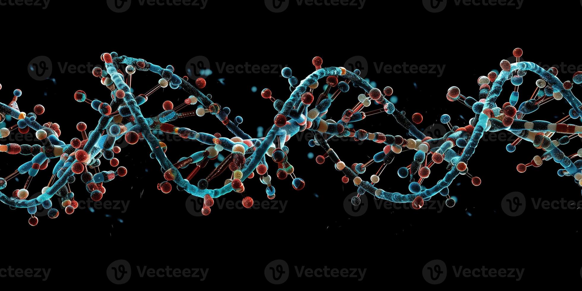 Detailed diagram of DNA double helix with nucleotide pairs, picture photo