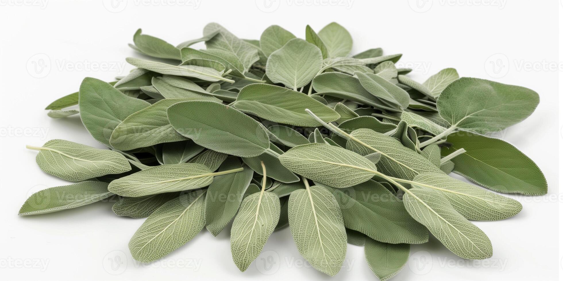 Pile of dried sage leaves, organized in a circular formation on a white background, photography photo