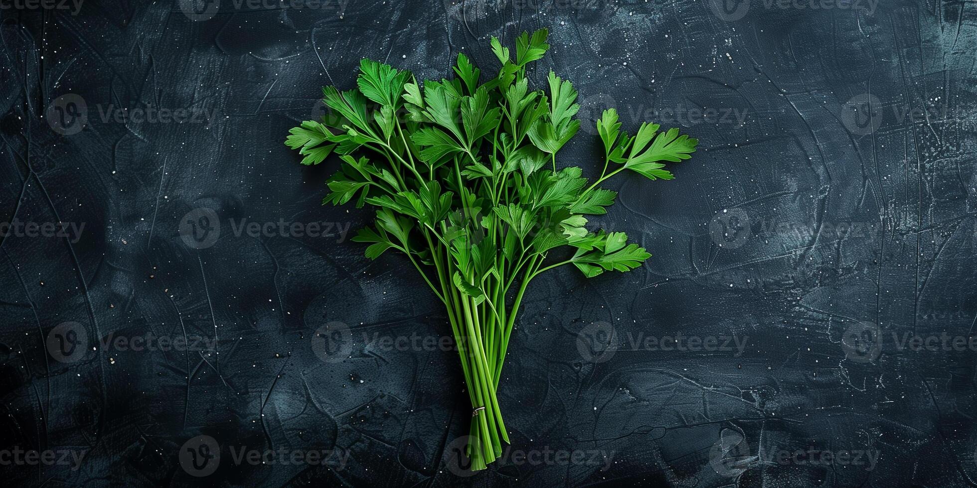 Fresh parsley leaves, with stems, displayed neatly on a plain, flat black surface, photo