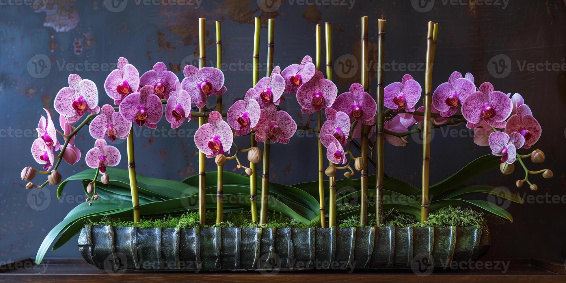 Rectangular container featuring orchids and bamboo shoots in harmonious arrangement, photo
