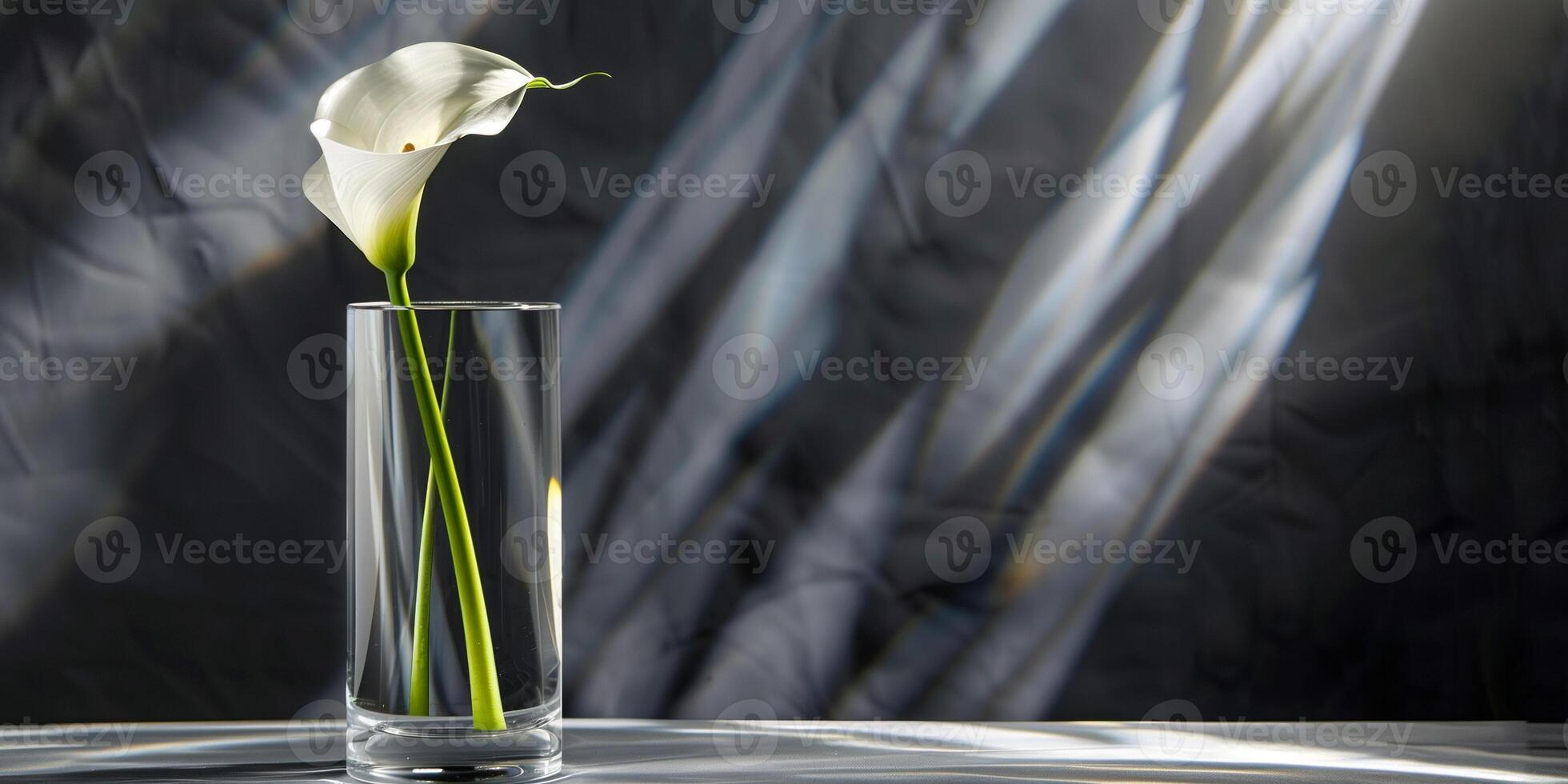 Tall glass cylinder showcasing a single stem of calla lily in water, photography photo