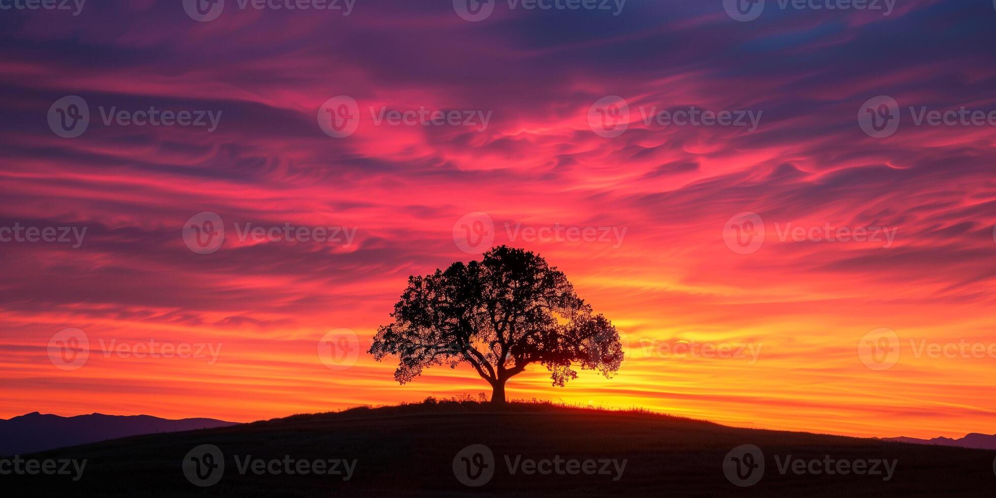 Silhouette of lone tree against spectacular sunset backdrop, picture photo