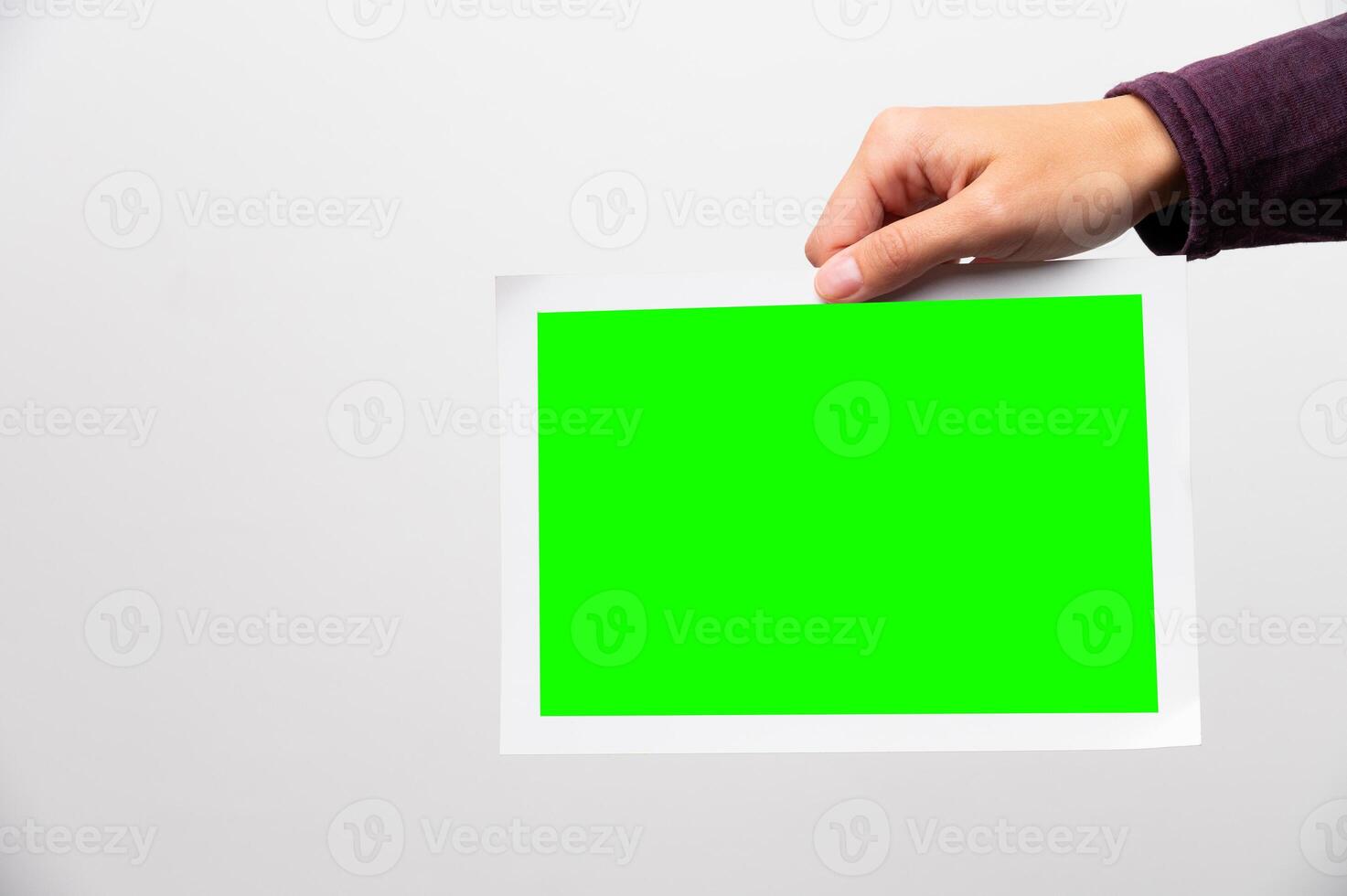 Paper photo in a woman's hand on a white background. Blank mockup green screen for inserting a photo