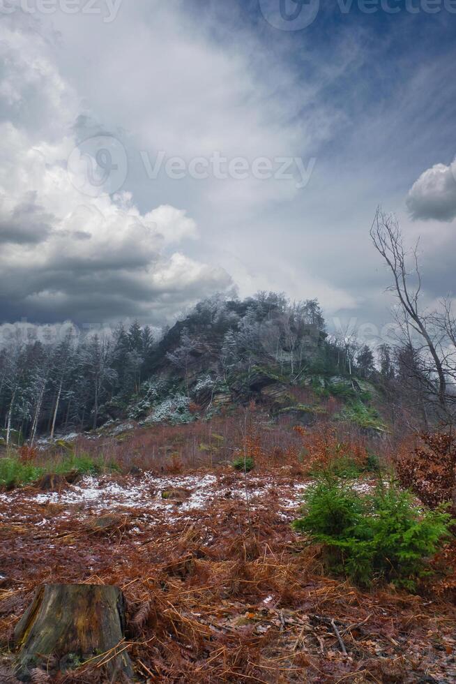 Zschirnstein with snow-covered trees and dramatic clouds with rays of sunshine. photo